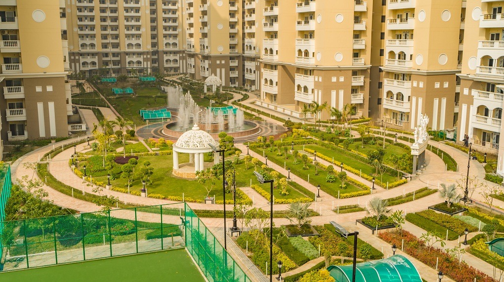 IMG-20190401-WA0011-1