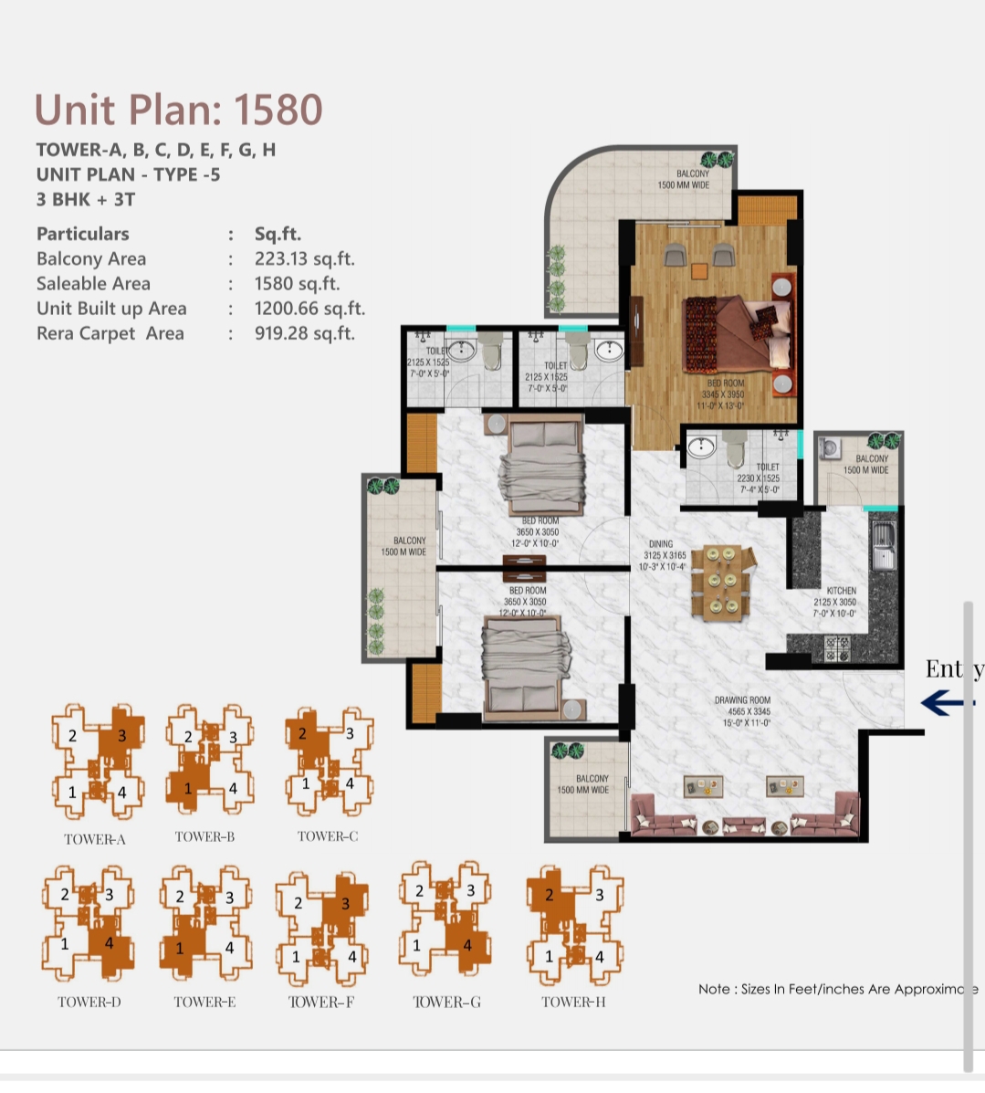 IMG_20240319_145308-2